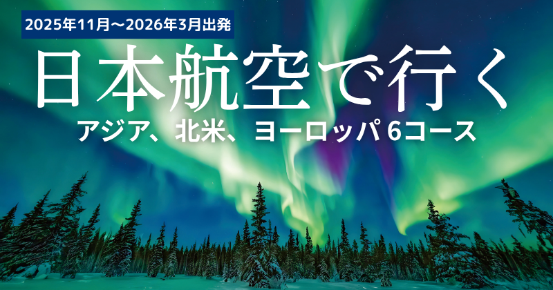 日本航空で行く