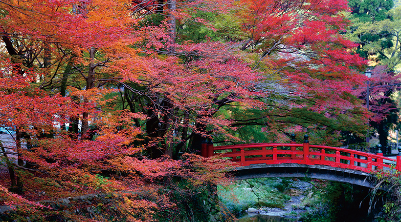 大寧寺