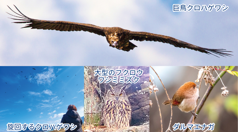 イメージ画像