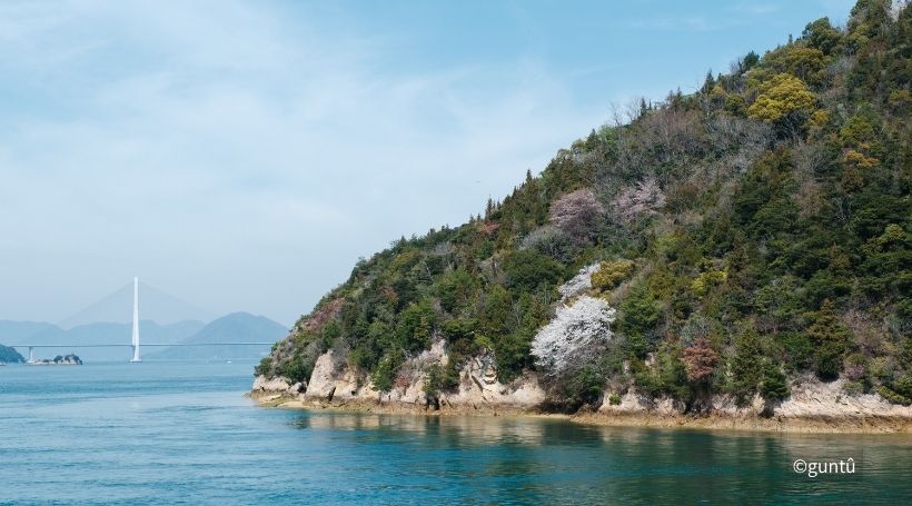 イメージ画像