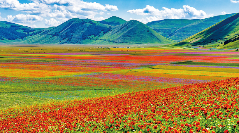 トスカーナの田園風景と“天空の花畑”カステルッチョ