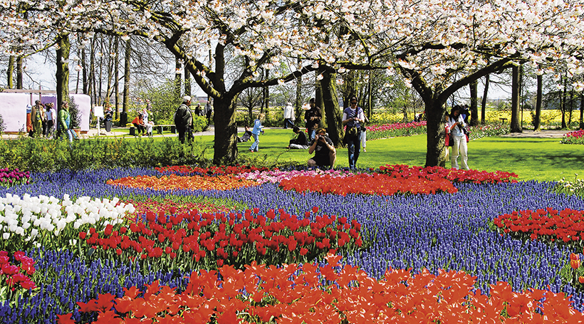 【成田（羽田）空港発着】花と緑の博覧会フロリアードを訪れる 春めくオランダ、ベルギー運河の船旅