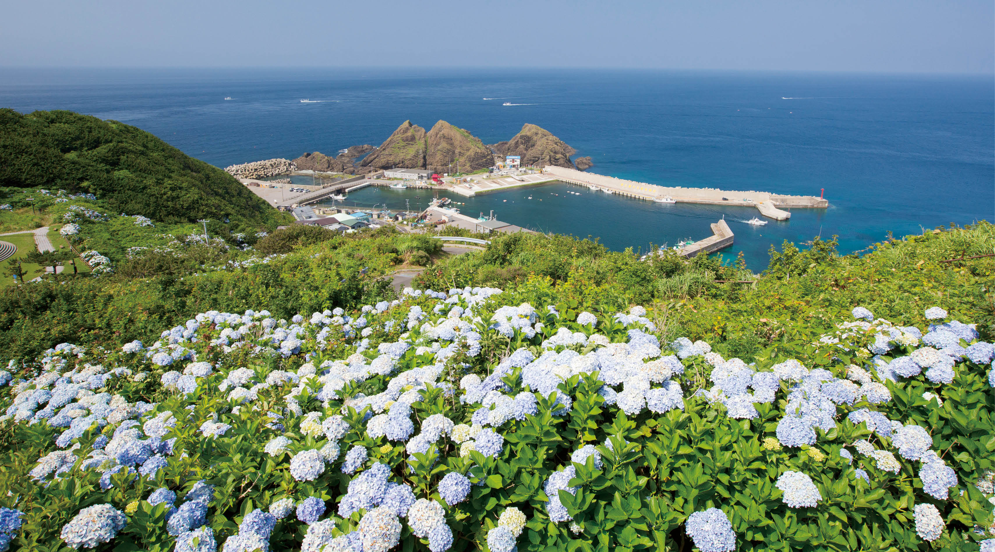 イメージ画像