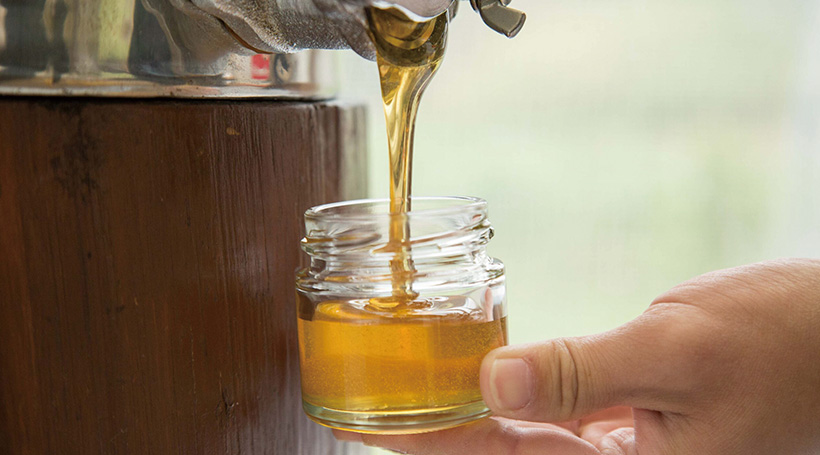 はちみつとミードのはちみつ工房