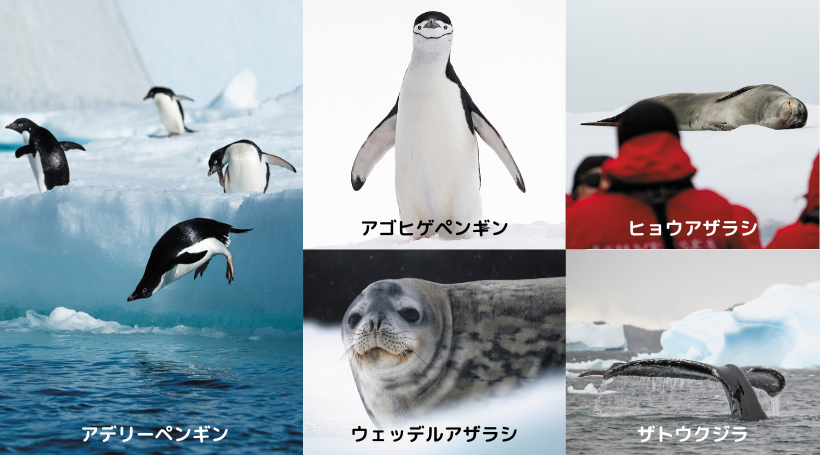 イメージ画像