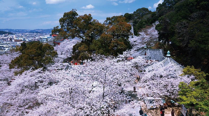 紀州徳川家ゆかりの「紀三井寺」特別拝観と桜や桃が彩る関西花旅