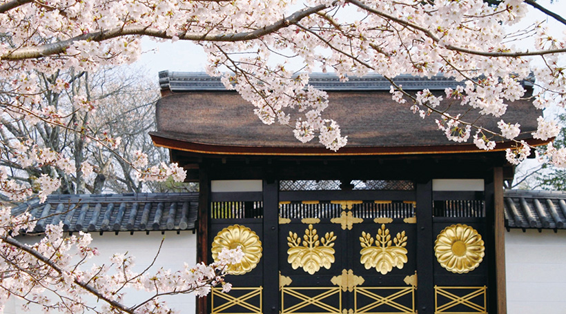 【Aコース】世界遺産 醍醐寺「三宝院」特別拝観 豊臣の栄華、絢爛な花見