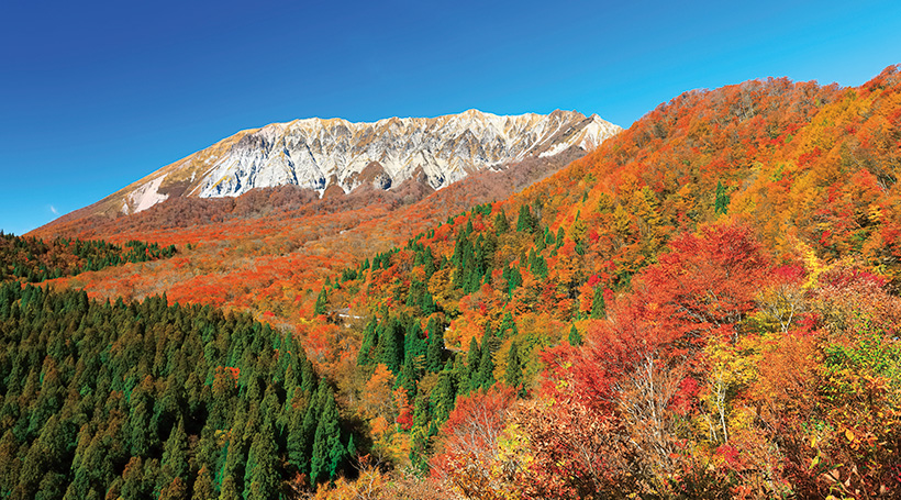 錦秋に染まる大山の紅葉 足立美術館と三朝・玉造温泉