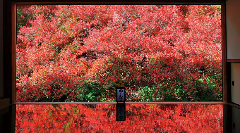 「西村屋ホテル招月庭」での松葉がに 絵画のように美しい「但馬安國禅寺」の紅葉