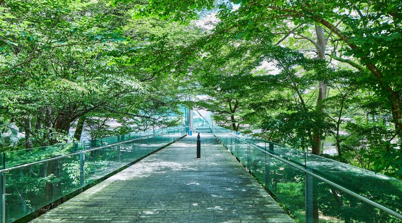 開館25周年を迎えるポーラ美術館とハイアットリージェンシー箱根での昼食