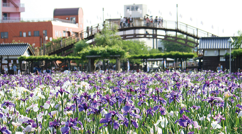水郷潮来あやめまつり 佐原の町並み･建物特別公開