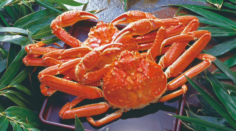 冬の高山・宇奈月・岩室温泉 湯めぐりとタグ付「越後本ズワイ」に舌つづみ