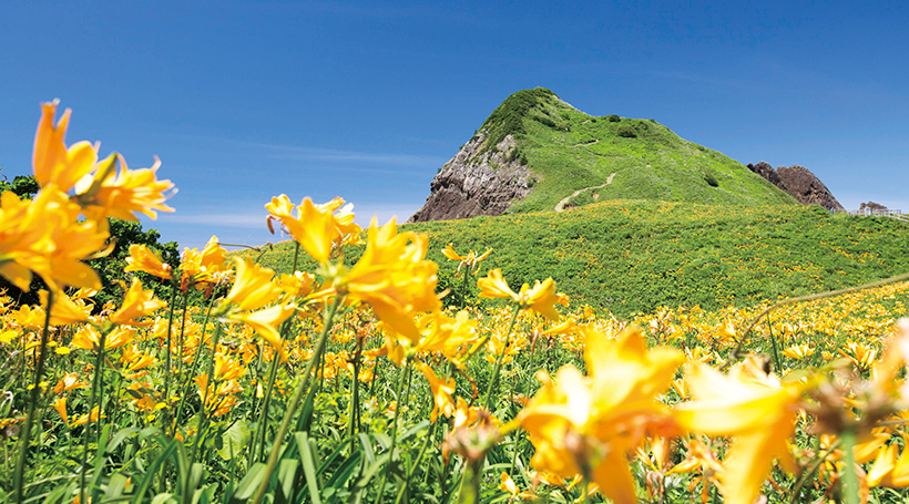 【Aコース】トビシマカンゾウ咲く野原と連泊でのんびり過ごす佐渡時間