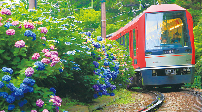 クラシックホテル「富士屋ホテル」宿泊と貸切電車で楽しむあじさい