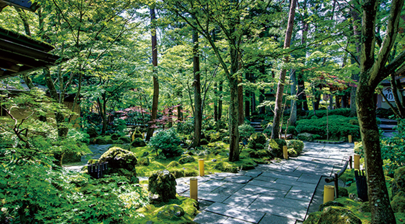 温泉と楽しむ初夏の旅 鐘山苑の夜に舞うホタル観賞