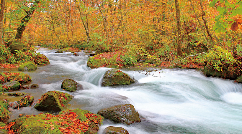 深まる秋、山々が染まる紅葉の東北へ 名湯めぐり