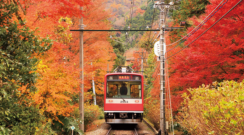 秋の芦ノ湖遊覧船・箱根紅葉紀行と奥湯河原「山翠楼」で寛ぐ