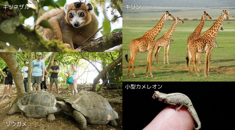 イメージ画像