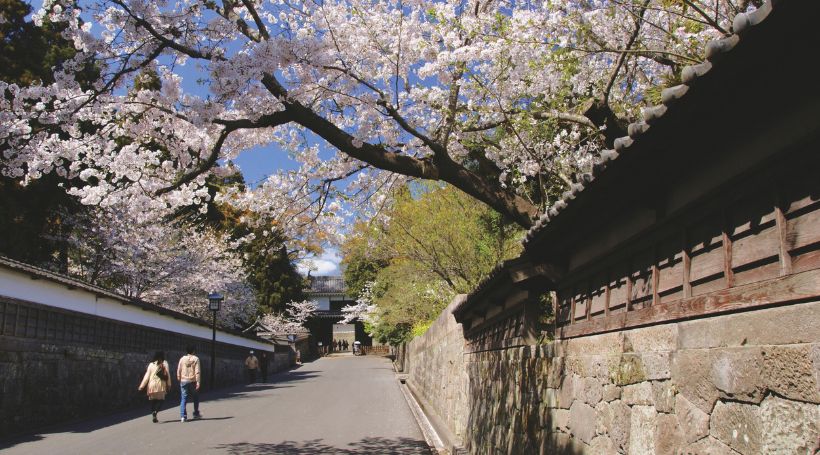 ～寄港地観光例～ 飫肥（オプション／有料）