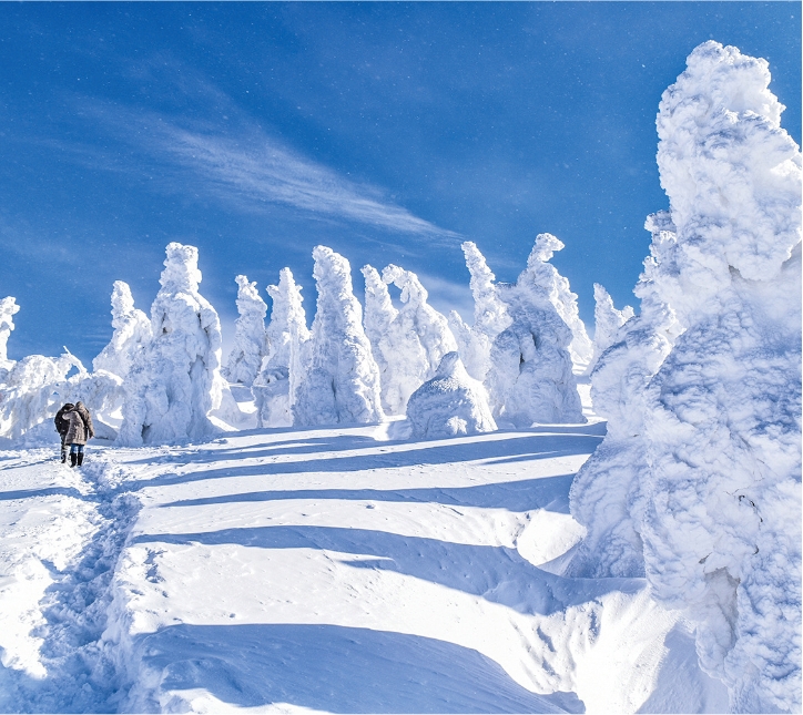 白銀の世界で過ごす 秋田と宮城２つの旅 三越伊勢丹ニッコウトラベル