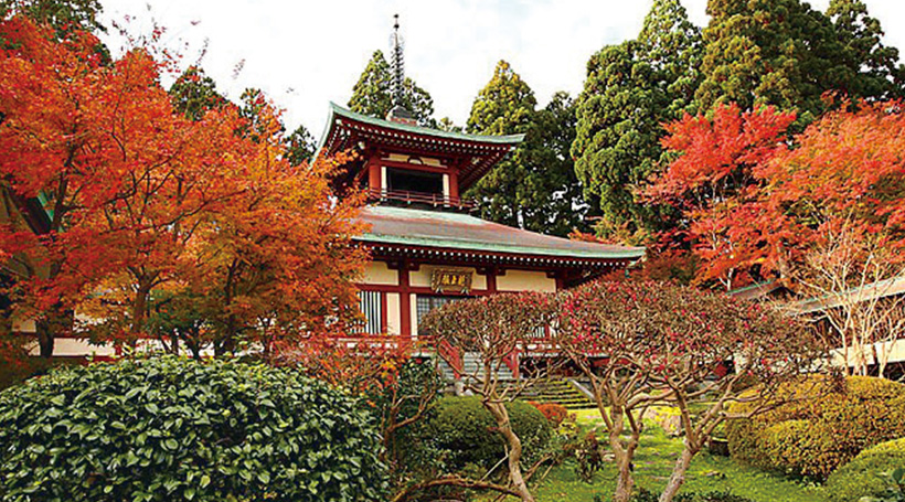 大龍寺 楽水亭庭園