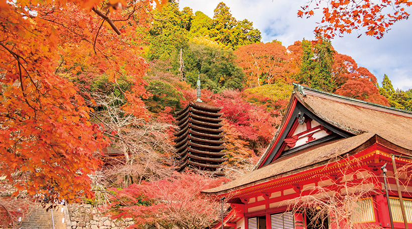 談山神社