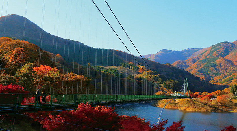 もみじ谷大吊橋