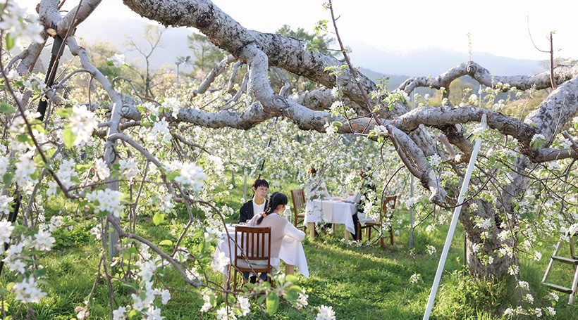 Orchard レストラン まつかわ