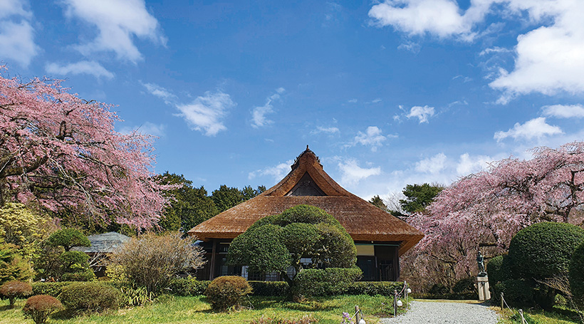 秩父宮記念公園