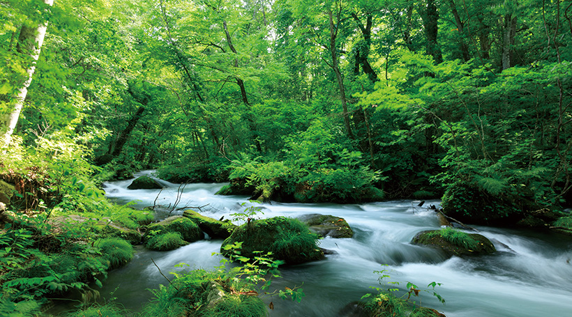 奥入瀬渓流