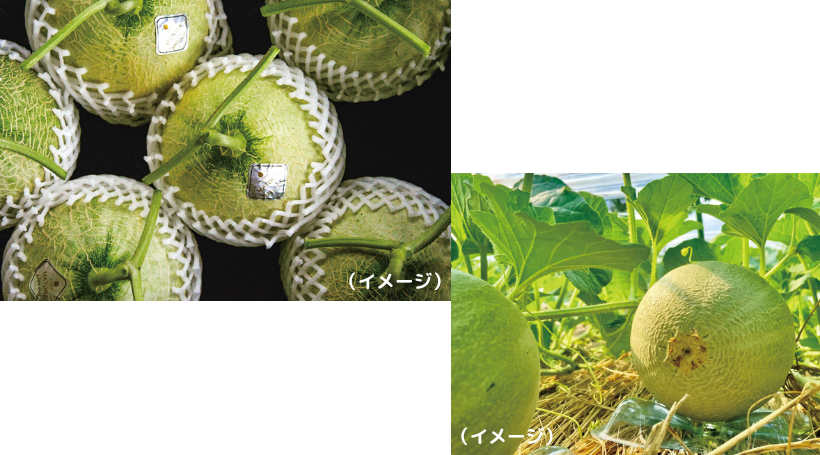 イメージ画像