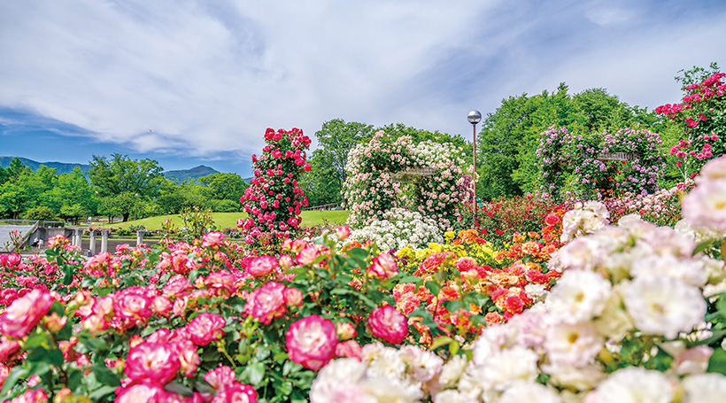 ぐんまフラワーパーク