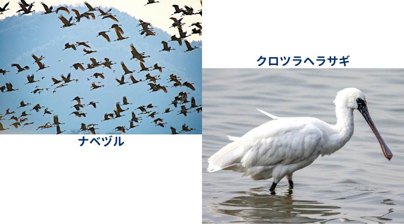 イメージ画像