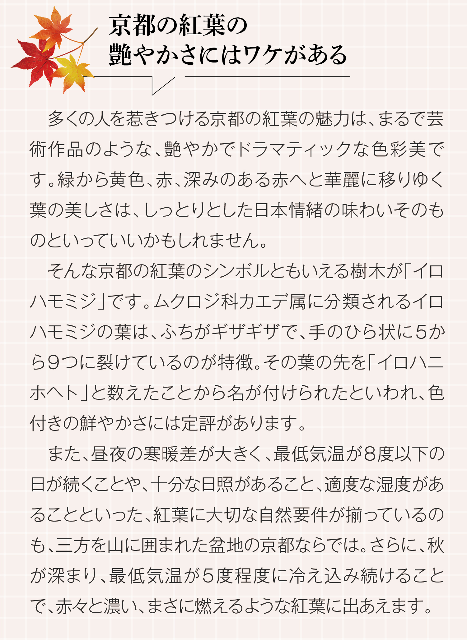 イメージ