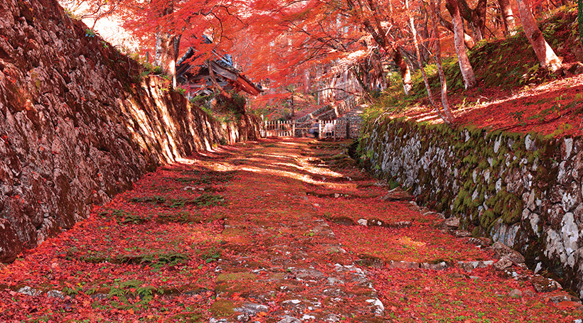 百済寺