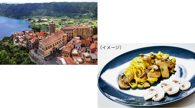 イメージ画像