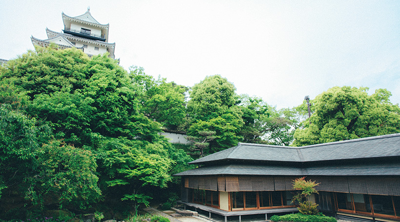 イメージ画像