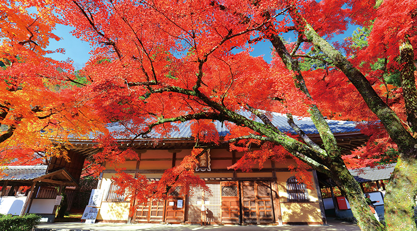 永源寺