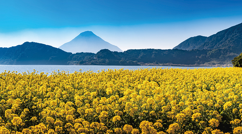 池田湖