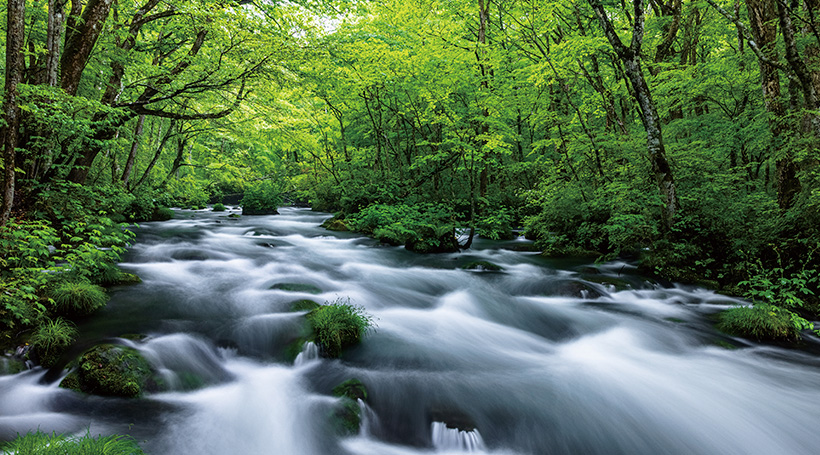 奥入瀬渓流