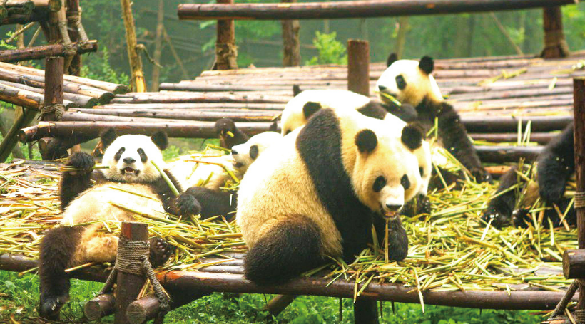 重慶動物園