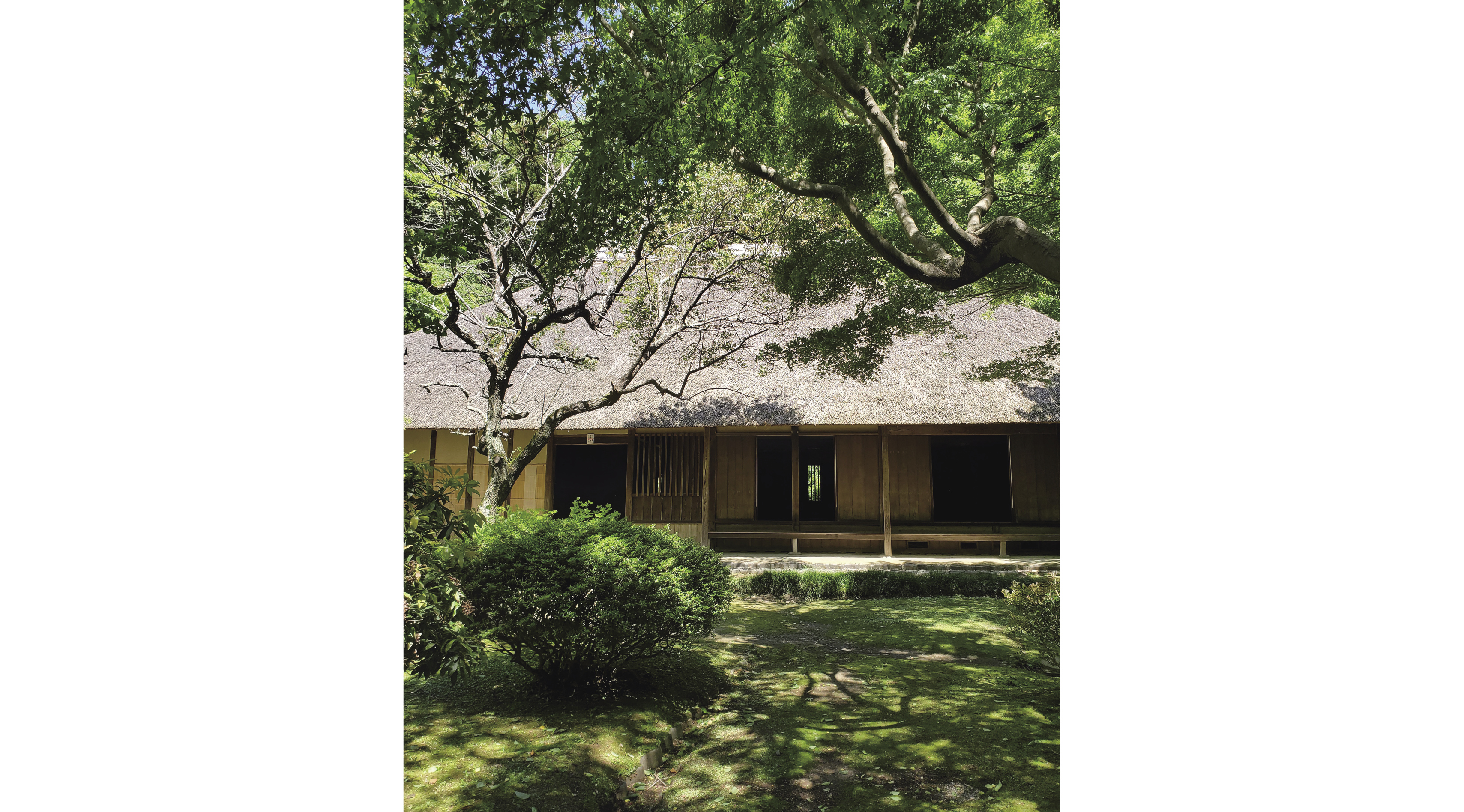 覚園寺