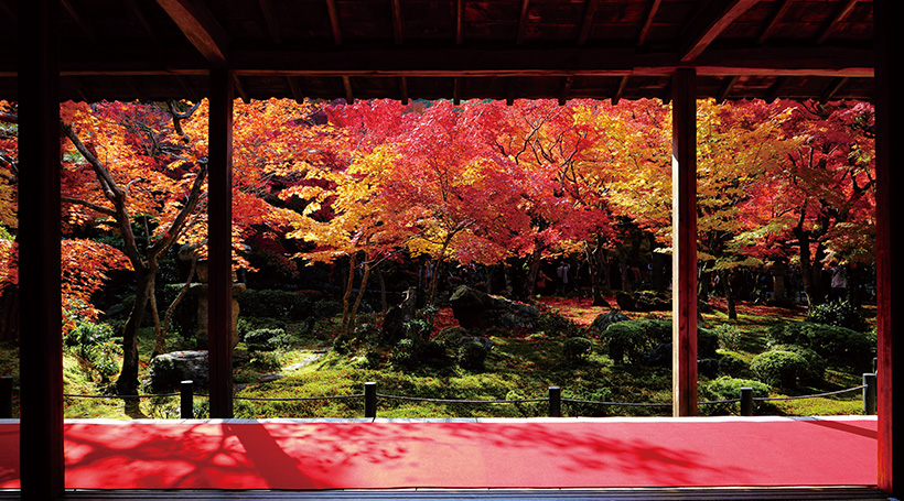 圓光寺