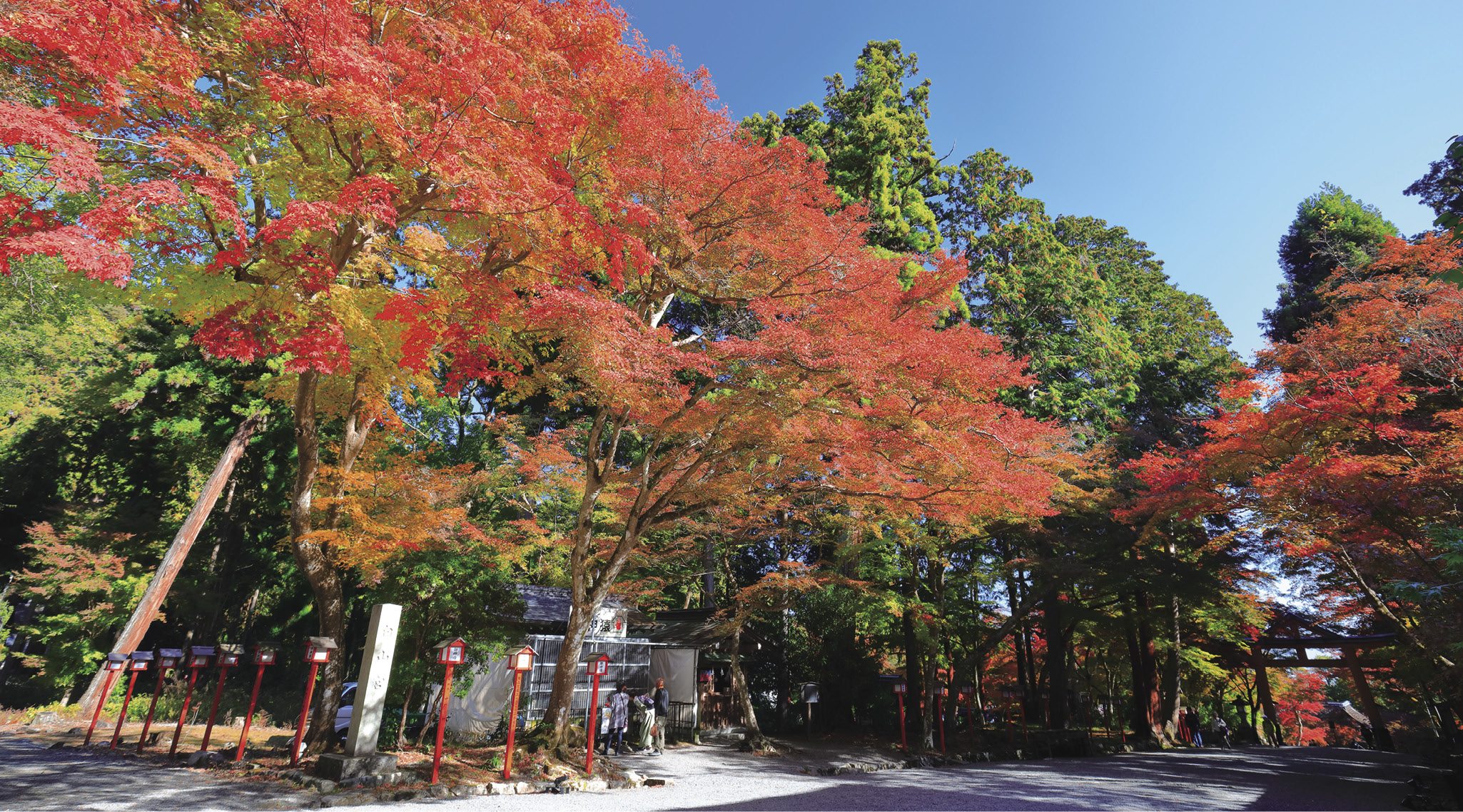 日吉大社