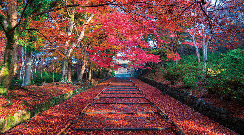 毘沙門堂門跡