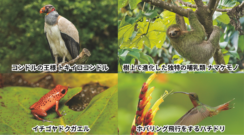 イメージ画像