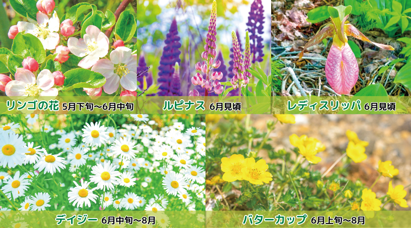 イメージ画像