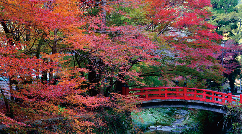 大寧寺