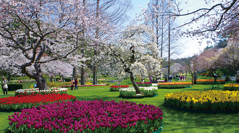 はままつフラワーパーク