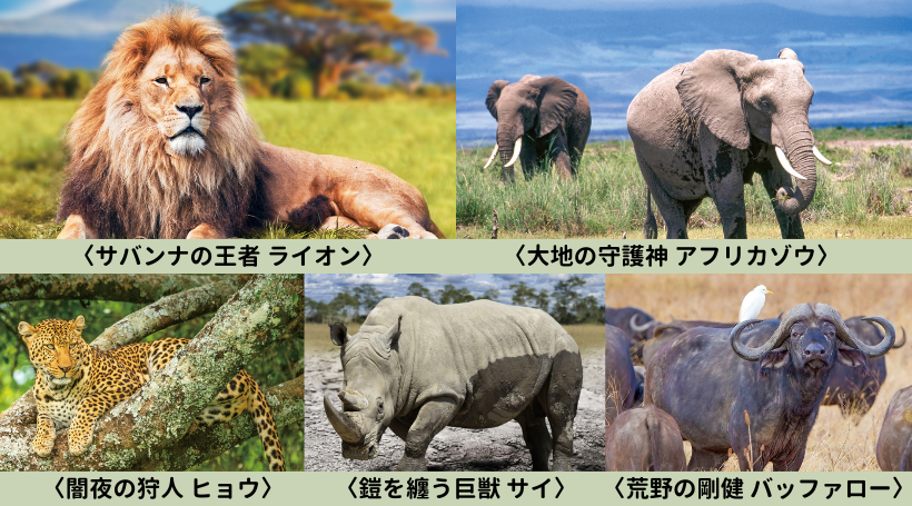 イメージ画像